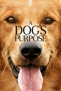 A Dog's Purpose - Собачья жизнь (2017)