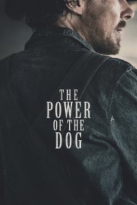 Власть пса постер из фильма 2021 The Power of the Dog на английском языке